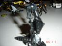 dsc01837.jpg