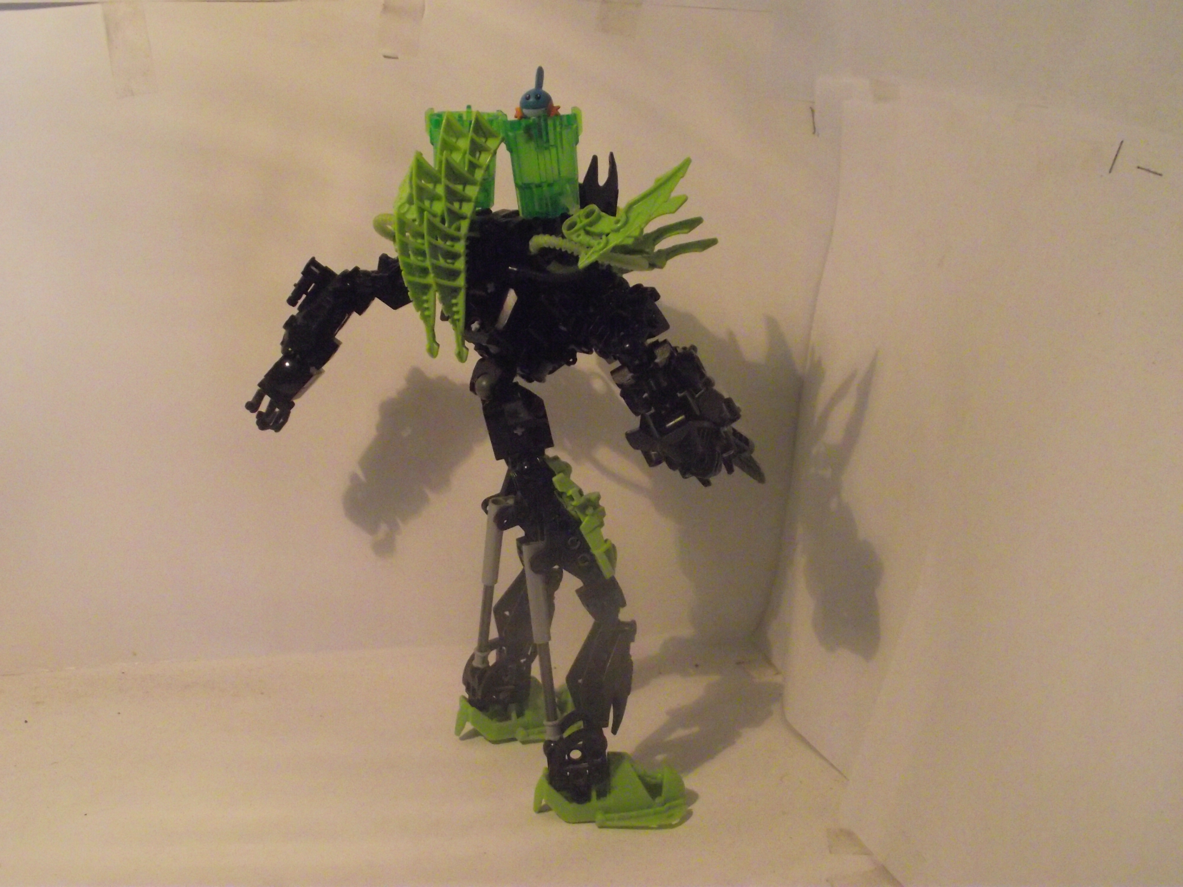 dscf0337.jpg