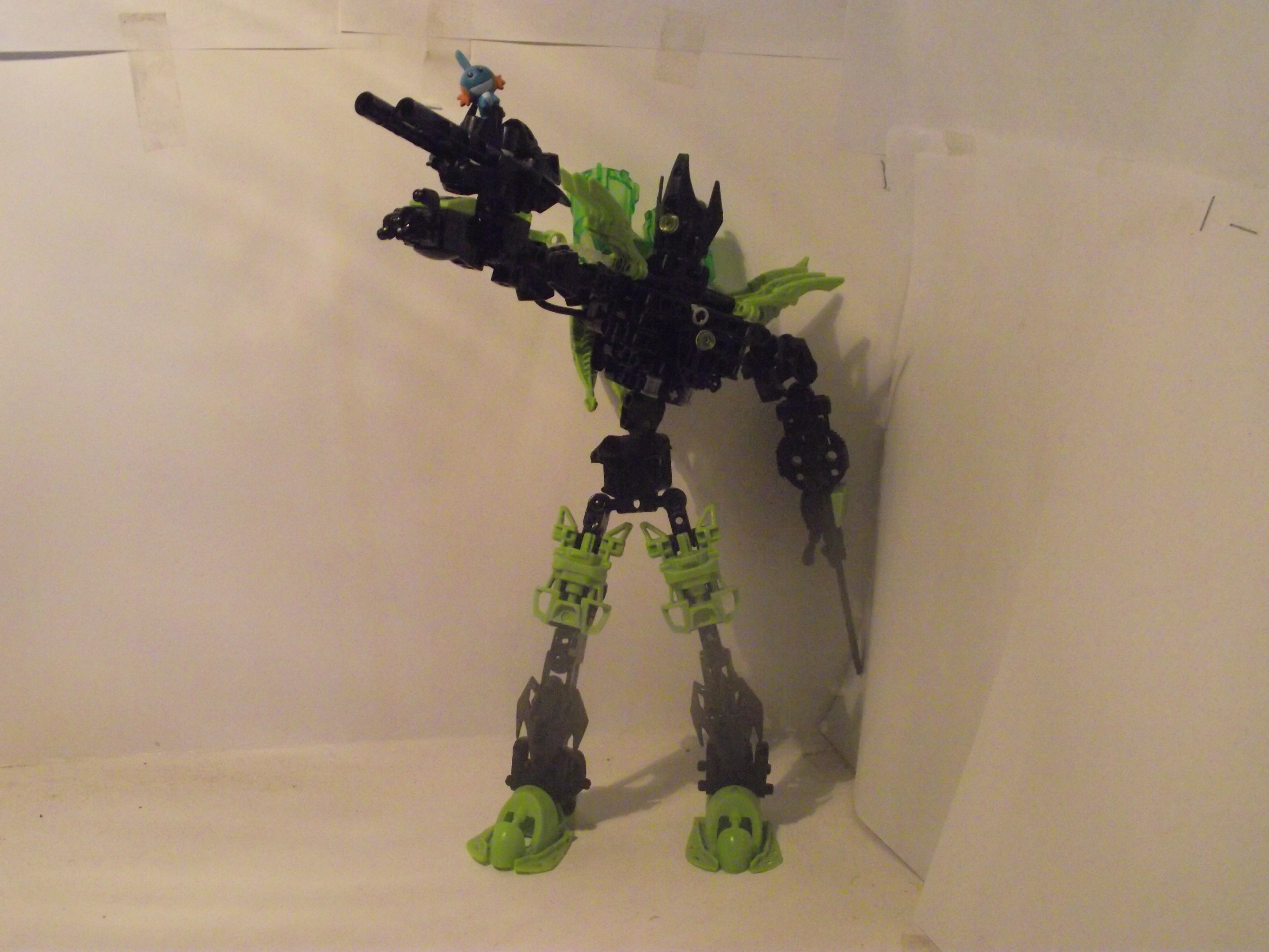 dscf0338.jpg