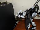 sdc10024.jpg