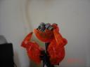 dsc02279.jpg