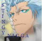 stingynigga.jpg