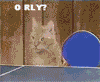 table-tennis.gif