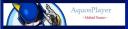 aquosplayermetalsonic.jpg