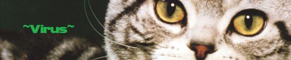 virusnessless.jpg