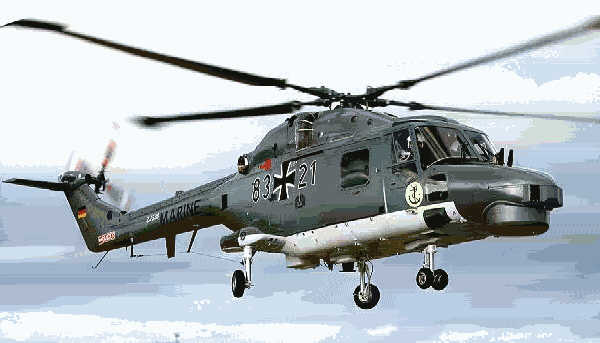lynx88a.jpg