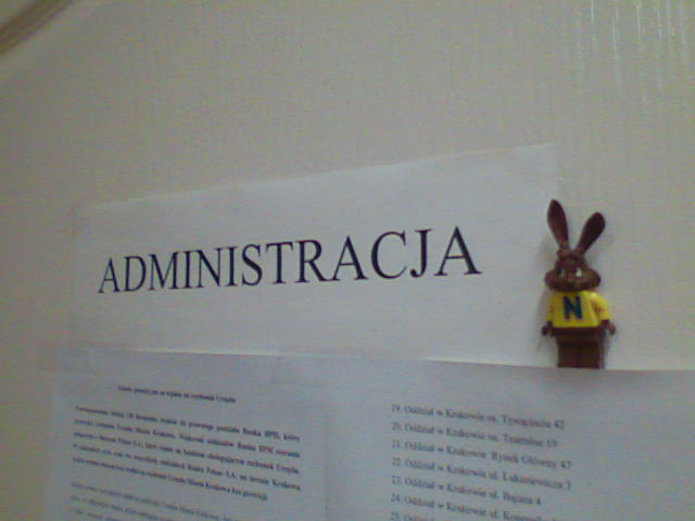 administracja.jpg