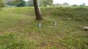 dsc04839.jpg