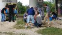 dsc04843.jpg