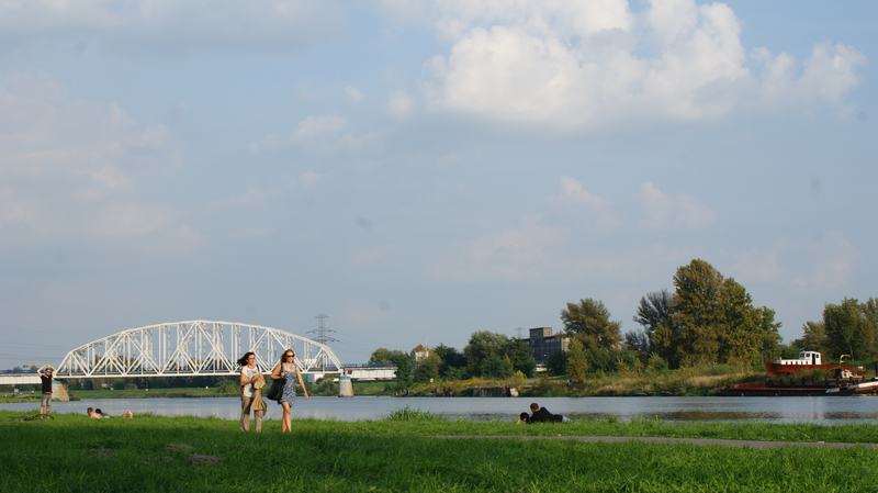 dsc05587.jpg
