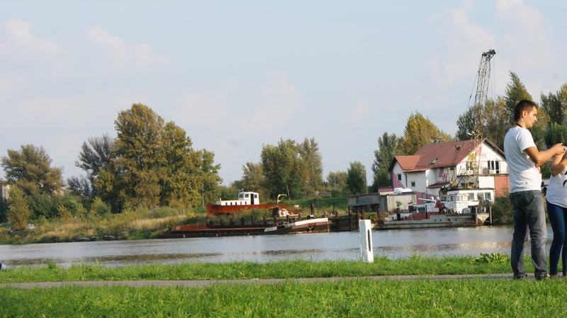 dsc05590.jpg