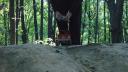 dsc05175.jpg