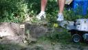 dsc05207.jpg