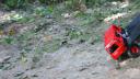 dsc05238.jpg