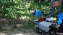 dsc05250.jpg