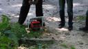 dsc05301.jpg