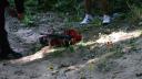dsc05306.jpg