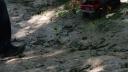 dsc05313.jpg