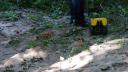 dsc05334.jpg