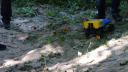 dsc05335.jpg