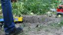 dsc05345.jpg