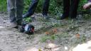dsc05362.jpg