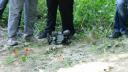 dsc05364.jpg