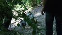 dsc05387.jpg