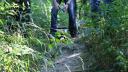 dsc05434.jpg
