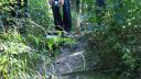 dsc05435.jpg