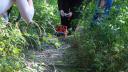 dsc05444.jpg