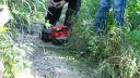 dsc05449.jpg