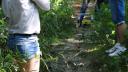dsc05474.jpg