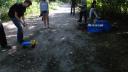 dsc05495.jpg