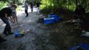 dsc05496.jpg