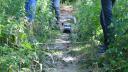 dsc05499.jpg