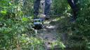 dsc05503.jpg