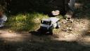 dsc05510.jpg