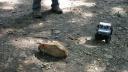 dsc05517.jpg
