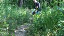 dsc05533.jpg