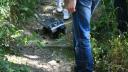 dsc05556.jpg