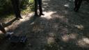 dsc05564.jpg