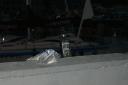 dsc00013.jpg