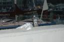 dsc00015.jpg