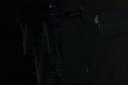 dsc00017.jpg