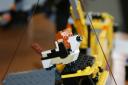 dsc00111.jpg