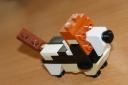 dsc00113.jpg