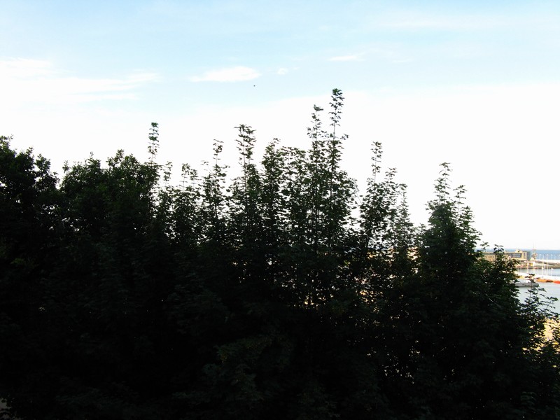 sta_5270.jpg