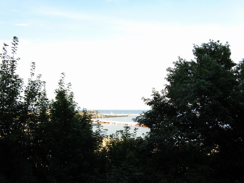 stb_5271.jpg