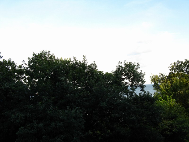 std_5273.jpg